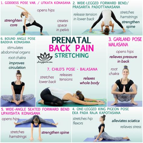 Pregnant Stretches For Back Pain Top 7 Stretches Jivayogalive