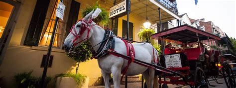 French Quarter Carriage Tour And Paddlewheeler Creole Queen Combo New
