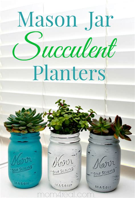 Mason Jar Succulents Planters ~ Indoor Gardening Idea Mom 4 Real