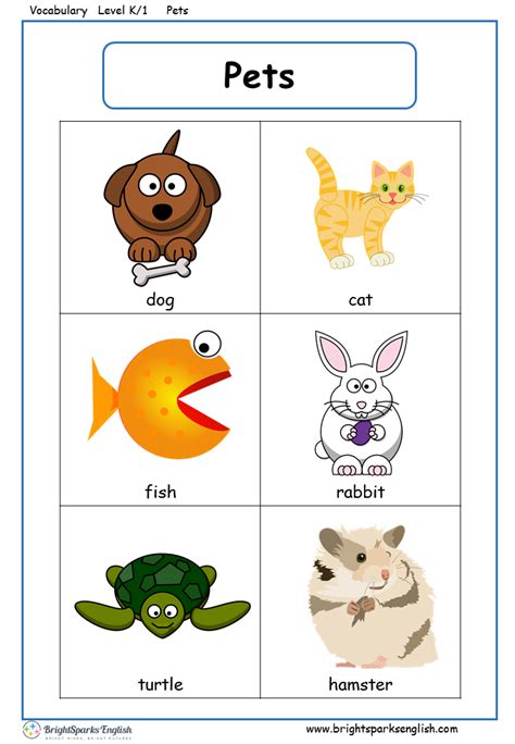 Pets Printable English Esl Vocabulary Worksheets Engworksheets Vrogue