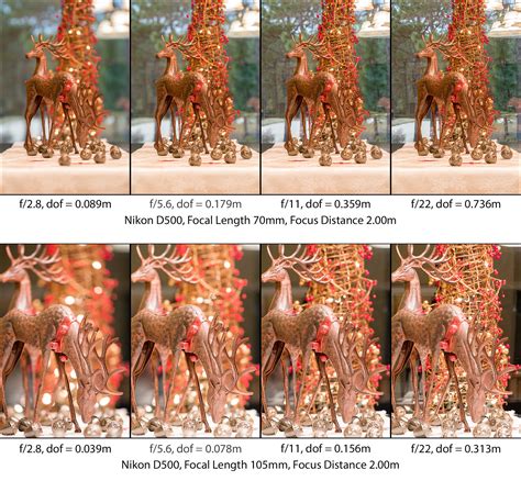 Understanding Depth Of Field A Beginners Guide