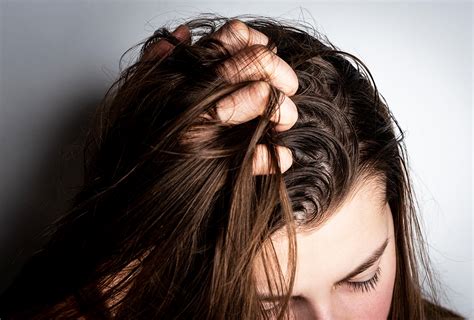 Oily Hair Remedies Navtarang