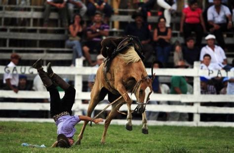 People Falling Off Horses05 People Falling Off Horses Horses Horse