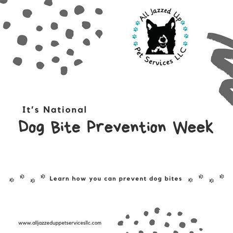 Its National Dog Bite Prevention Week In 2022 Dog Biting Dog Bite