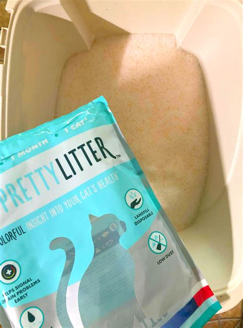 Pretty Litter Subscription Review