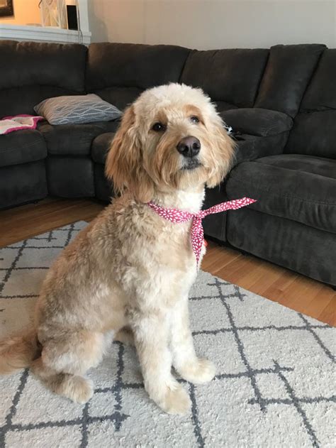 .up these 9 haircuts for straight hair that will accompany you through any hair length: Addie got her first summer haircut at 9.5 months ...