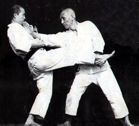 Wado Ryu Karatedo • Wadokai Karatedo Shin Gi Tai Italia