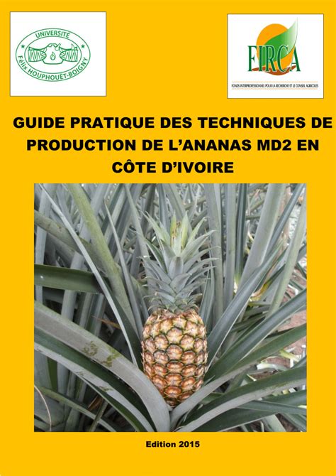 Pdf Guide Pratique Des Techniques De Production De Lananas Md2 En