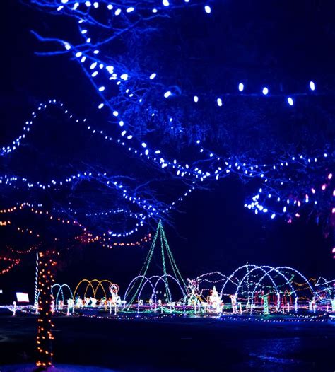 Ride A Train Through Holiday Lights In Comstock Park Michigan