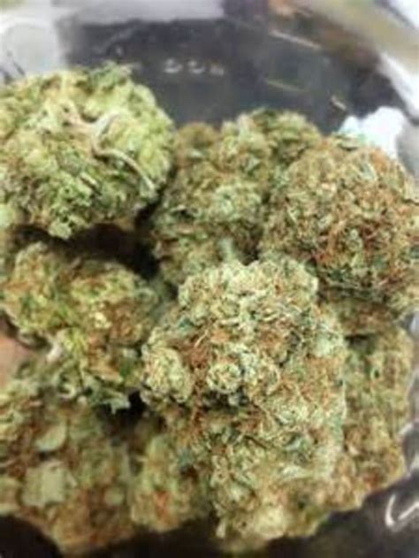 Gorilla Glue Og 38 100 Indica Greenz Delivery Open Late