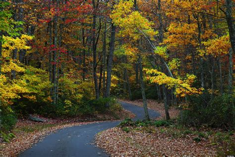 Fall Foliage Viewing Where To Take In The Best Of Autumn