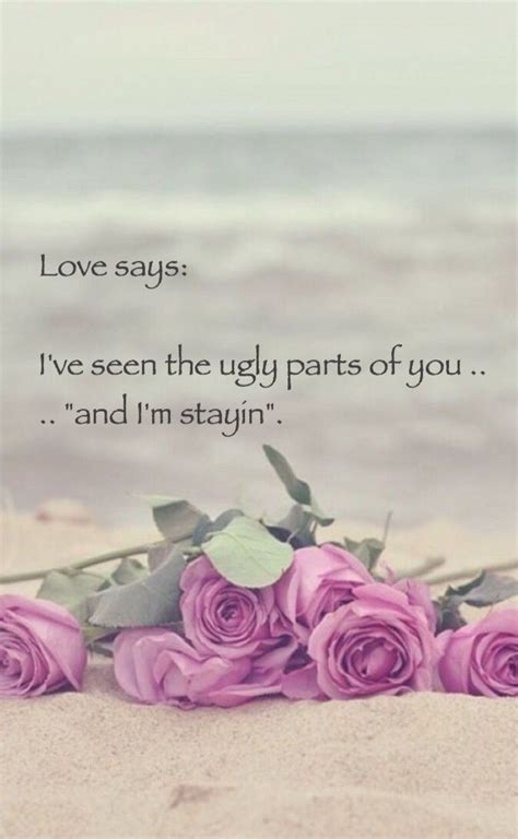 Pin By Dareen R On Quotes Love Story Flowers Rose