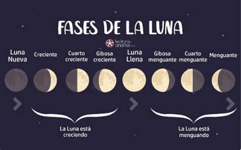 Las Fases De La Luna Y Sus Nombres