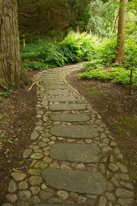 Stone Path Through The Forest Stock Photo Image Of Trees Vertical
