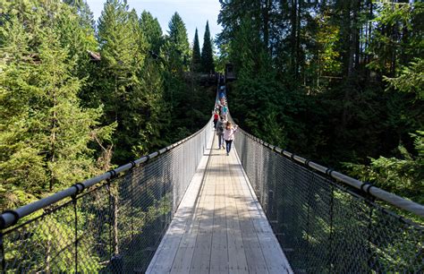 Discover North Vancouver And Capilano Suspension Bridge Dct