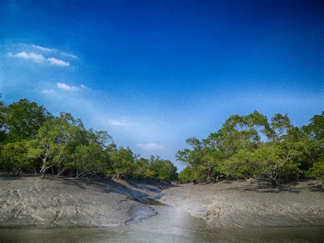 Sundarban National Park Sundarbans West Bengal Tourism 2023 How