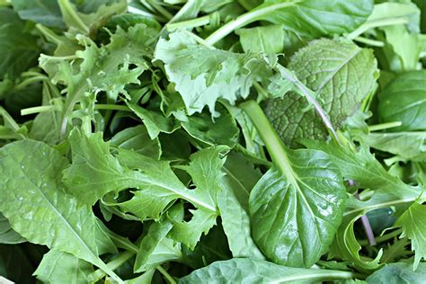 Everyday Leafy Green Salad Recipe Food And Style