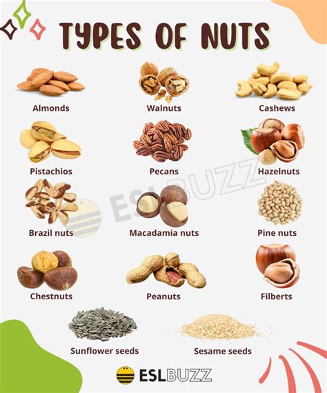 Types Of Nuts From Almonds To Walnuts And Their Health Benefits Eslbuzz