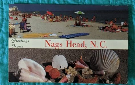 Vintage Split View Outer Banks Nags Head Nc Beach And Sea Shells