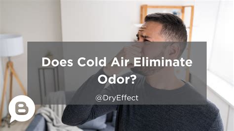 Odor Removal Does Cold Air Eliminate Odor In Your House
