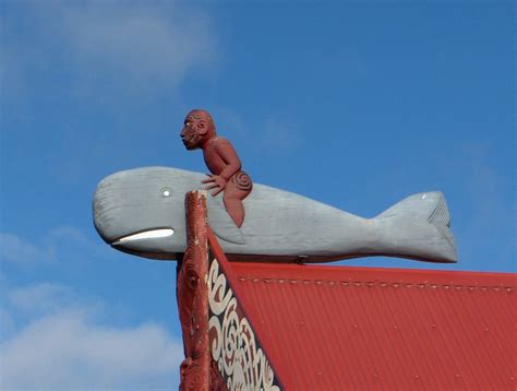 The Whale Rider Un Récit Initiatique Au Cœur De La Tradition Maorie