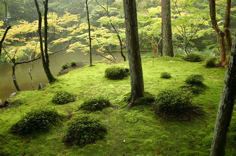 26 Wild Lands You Should Visit Before You Die Lifehack Japanese