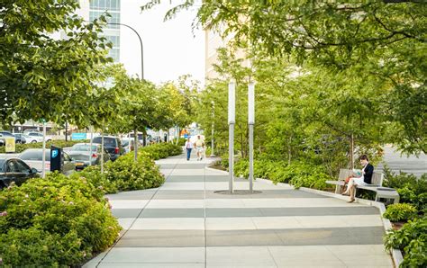 Buffalo Niagara Medical Campus Streetscape Scape Landscape Plaza
