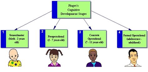 Further, although new theories of cognitive development have gone beyond piagetian thinking, they all seem to agree with at least the spirit of piaget's work that children are spontaneously and actively. Cognitive Development Theory of Jean Piaget: Stages of ...
