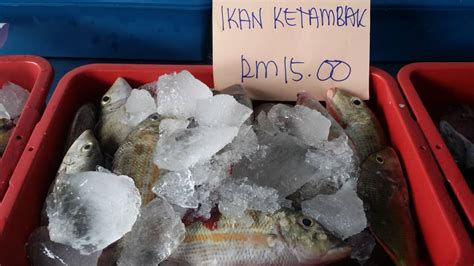 Iklan jawatan kosong in english; AMIE'S LITTLE KITCHEN: Jalan-Jalan Cari Ikan di Tabanac ...