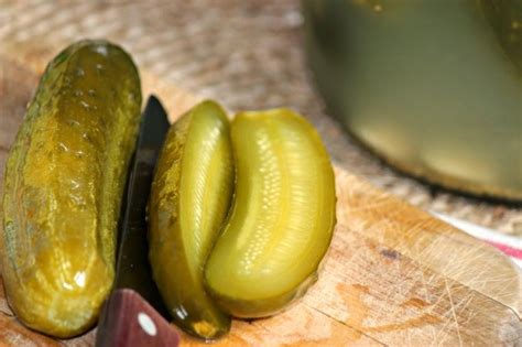 Naturally Fermented Crock Garlic Dill Pickles Recipe By Patricia