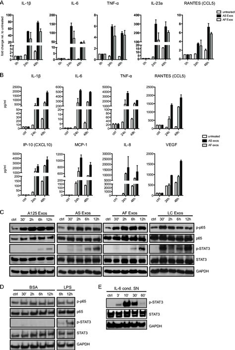 Exosomes Trigger Cytokine Production And Cell Signaling In Thp 1 Cells