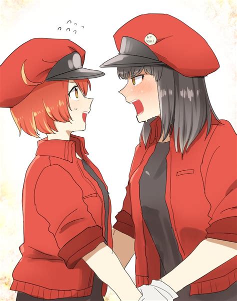 Red Blood Cell Ae And Nt Hataraku Saibou Drawn By