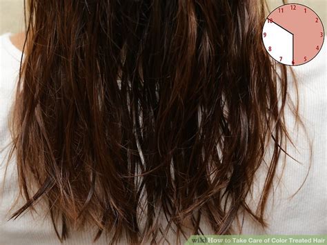 We did not find results for: How to Take Care of Color Treated Hair - wikiHow
