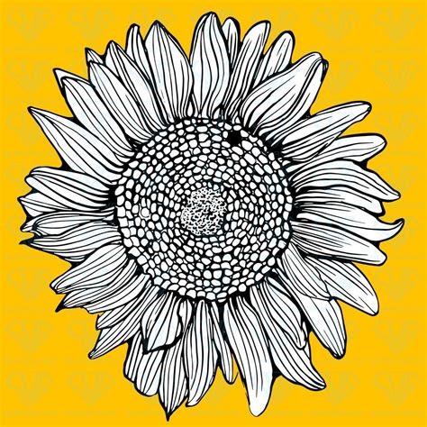 Cricut Vinyl Svg Files For Cricut Sunflower Clipart Sunflower Ts