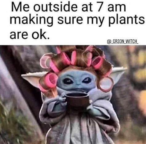 60 Plant Memes For You To Dig Through Gardening Memes Gardening