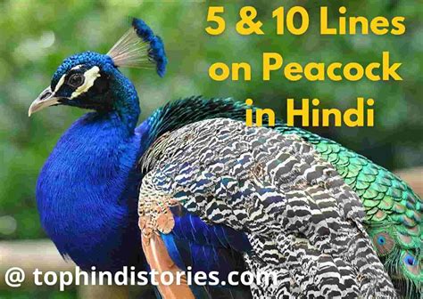 Easy hindi typing provides two hindi typing tools to type in hindi using english alphabets plus free hindi fonts hindi got its name from the persian word hind, which means land of the indus river. Best 5 & 10 Lines on Peacock in Hindi for all Class