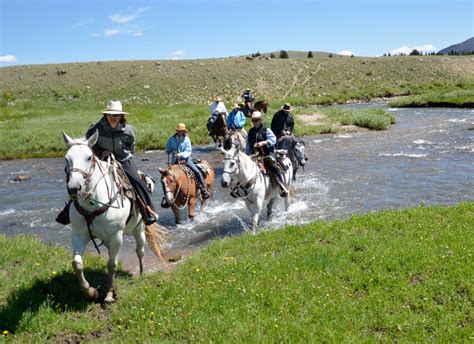 Horseback Rides In Yellowstone Crossing The River Rockin Hk