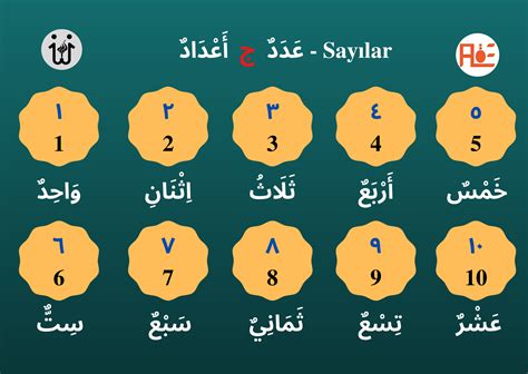 Sayılar Arapçacenneti