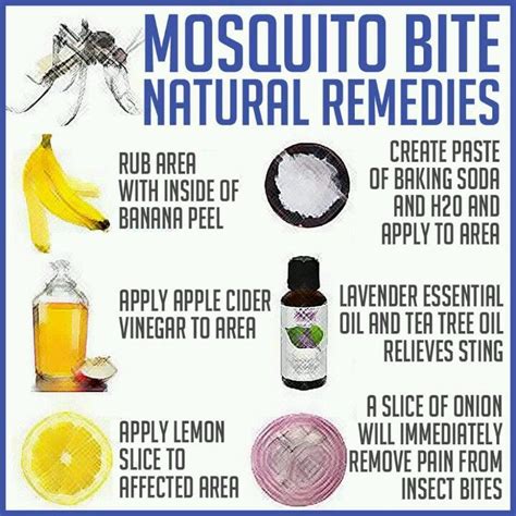 Mosquito Bite Natural Remedies I Have The Feeling Some Might Hurt But