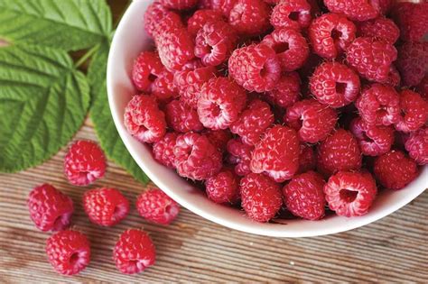 Heritage everbearing red raspberry is a favorite for its flavor, firmness and fruit size. Rubus idaeus 'Heritage' (Everbearing Raspberry)
