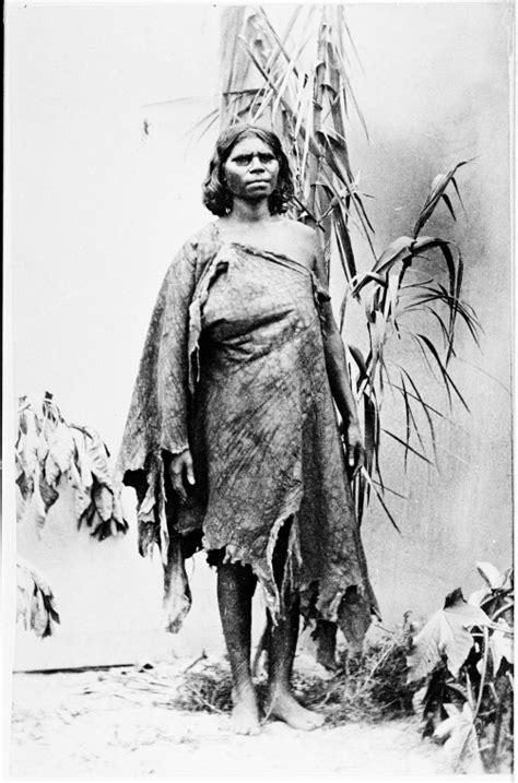 Studio Photograph Portrait Of Aboriginal Woman Wearing Animal Skin