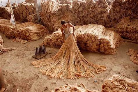 Raw material is the unprocessed items that are broken down, processed, or combined with other materials to create an end product. A much-needed boost for jute sector