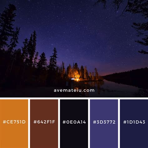 Pine Trees Under Starry Night Sky Color Palette 122 Ave Mateiu