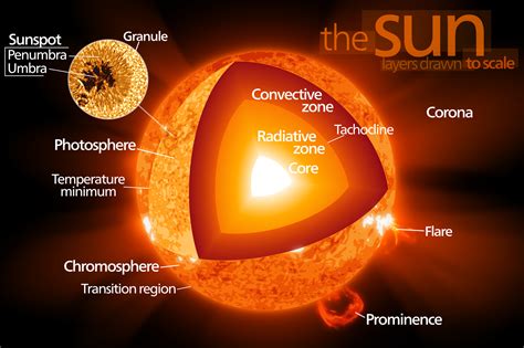 Structure Of The Sun Diagram