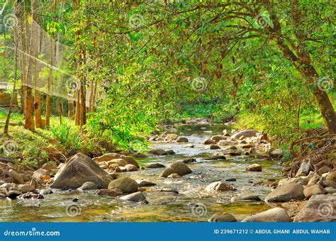 Cool Clear Water From Water Fall Long River Stock Photo Image Of