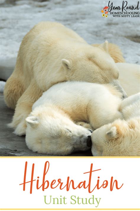 Free Hibernation Unit Study Year Round Homeschooling