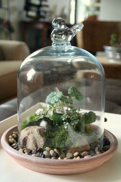 Gardens Under Glass How To Make Your Own Terrarium Miniatuurtuin