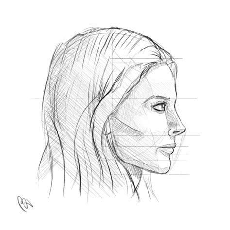 Women's body female body drawing for fashion side view leg line illustration outline person back illustration human body line legs front female female hair back women front back underclothing. Side Profile Face Woman Sketch at PaintingValley.com ...