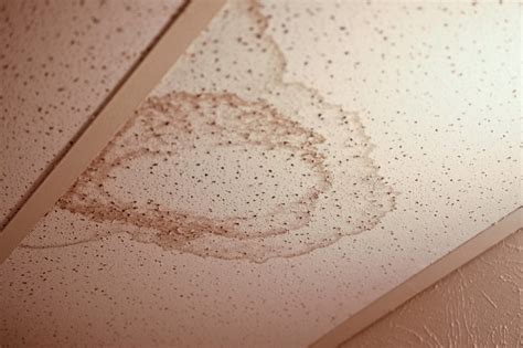 Ways To Identify Asbestos Ceiling Tiles Boggs Inspection Services