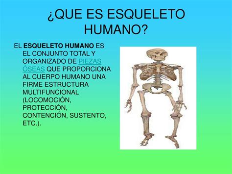 Ppt El Esqueleto Humano Powerpoint Presentation Free Download Id